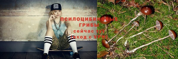 a pvp Алексин