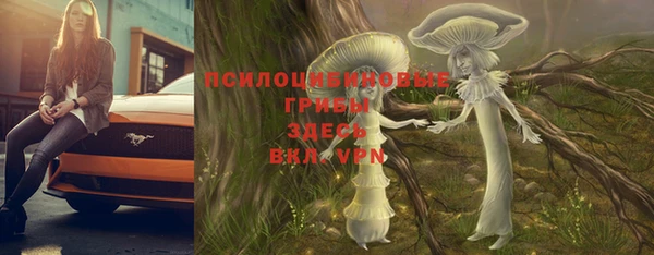 эйфоретик Абинск