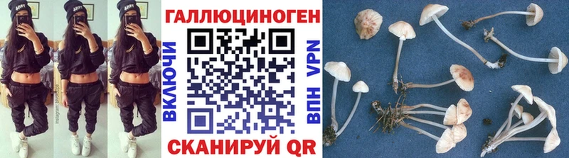 Галлюциногенные грибы Cubensis  Кедровый 